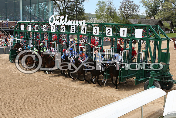 Arkansas Derby Day 4-11-2015 (©Justin Manning) JWM_0417