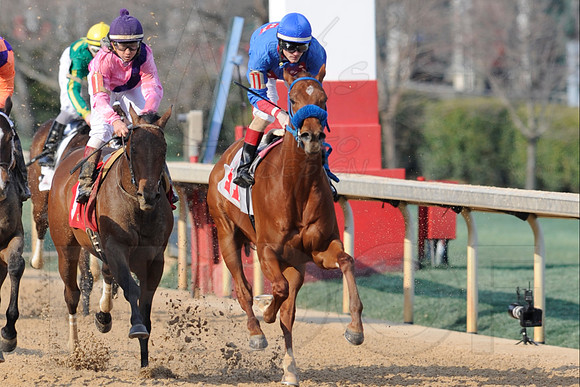 Honeybee Stakes (Grade III) 3-8-2014 (© Justin Manning) JWM_1410