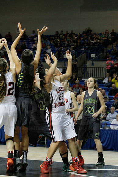1A Girls State Finals-Nemo Vista vs. Wonderview 3-14-2014 (© Justin Manning) JWM_0082