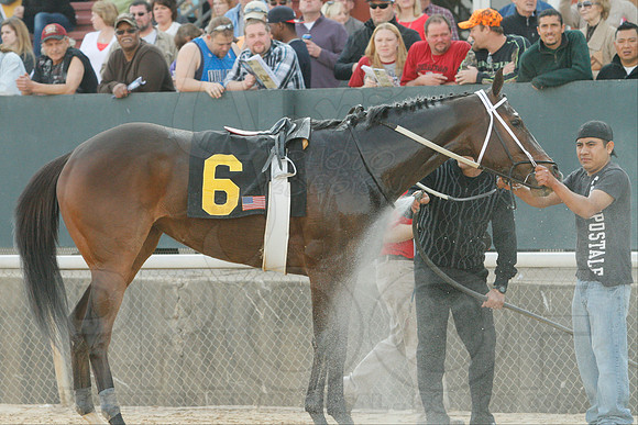 Honeybee Stakes (Grade III) 3-8-2014 (© Justin Manning) JWM_0319
