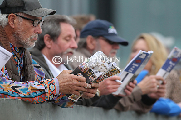 z200217_SouthwestStakesDay_Manning_3834