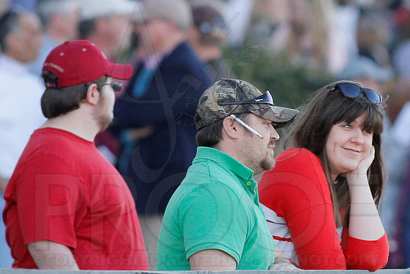 Smarty Jones Stakes 01-20-14 (©Justin Manning) JWM_0083