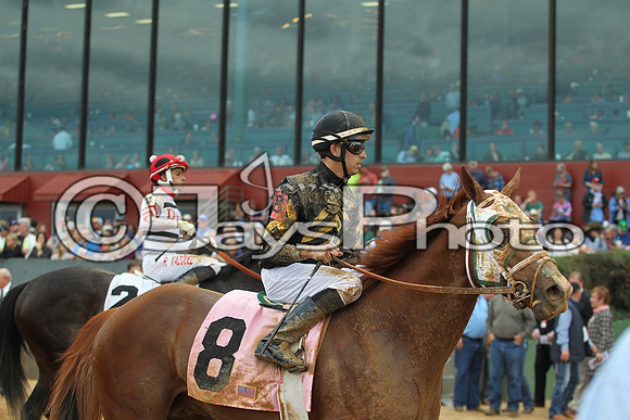 Southwest Stakes (GradeIII) 2-20-17_JWM00228