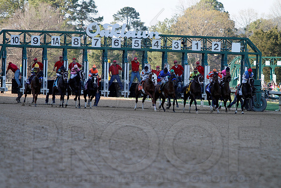 Rebel Stakes 3-16-13 JWM0183 (©Justin Manning)