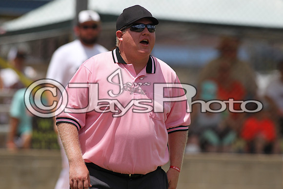 Benton vs. Harrison Cal Ripken t-ball All-Stars 7-10-2015 (©Justin Manning) JWM_0073