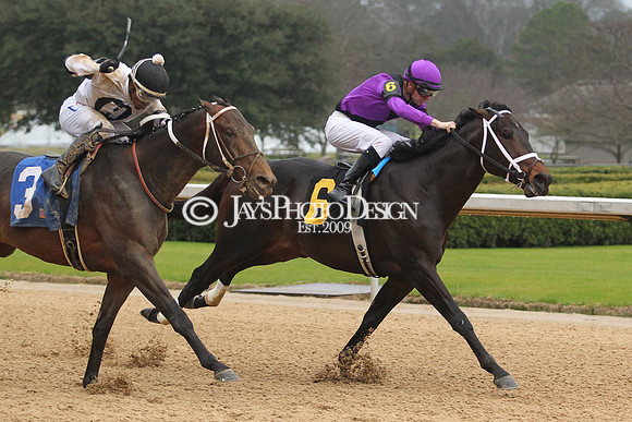 z200217_SouthwestStakesDay_Manning_3531