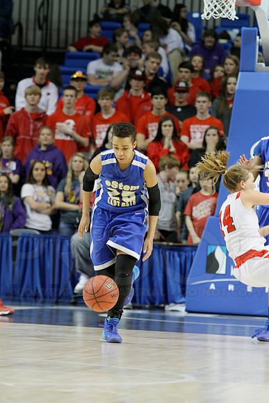 3A Girls State Finals-Harding Academy vs. eStem 3-14-2014 (© Justin Manning) JWM_0224