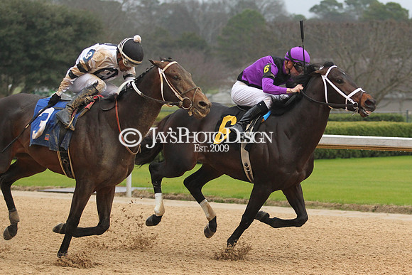 z200217_SouthwestStakesDay_Manning_3532