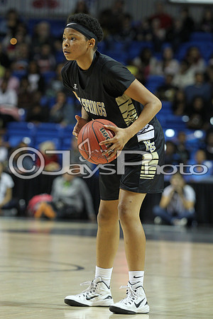 Pulaski Academy vs. Hot Springs 5A Girls State Finals 3-14-2015 (©Justin Manning) JWM_222
