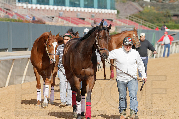 Oaklawn 1-11-13 (Justin Manning)0001