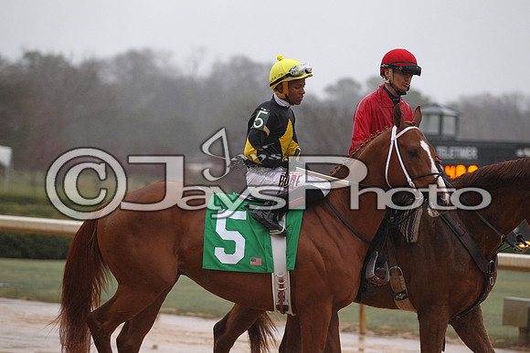 Oaklawn (Rebel Stakes Day) 3-14-2015 (©Justin Manning) JWM_256