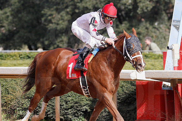 Oaklawn 1-11-13 (Justin Manning)0103