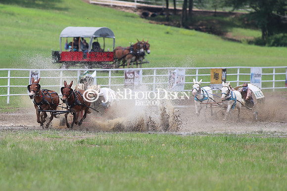 Whiskey Ridge Ranch (Chuckwagon Races) 5-25-24_JWM_0195