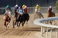 Oaklawn Park (Scenery) 1-26-14 (©Justin Manning) JWM_0021