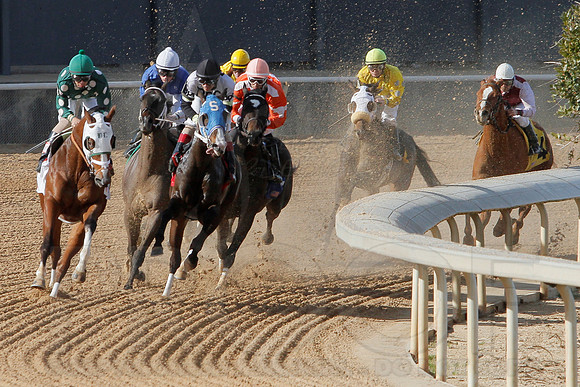 Oaklawn Park (Scenery) 1-26-14 (©Justin Manning) JWM_0021