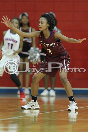 Pine Bluff @ LR Parkview JWM_0198