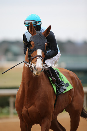 z210123_Pippin Stakes_Manning_0214