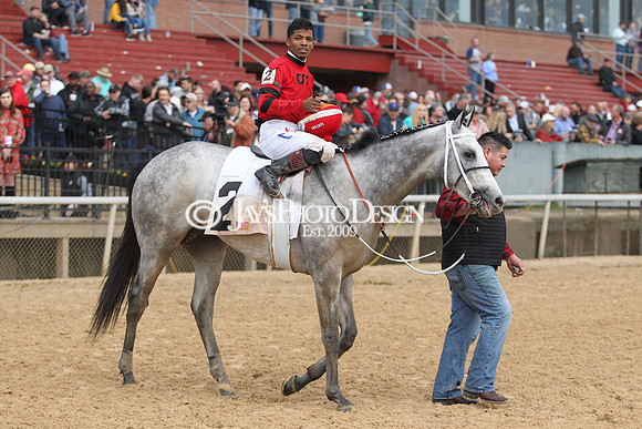 z200217_SouthwestStakesDay_Manning_4248