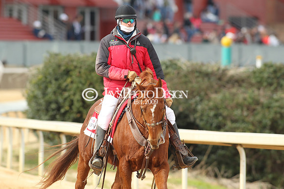 z190218_SouthwestStakesDay_Manning_026