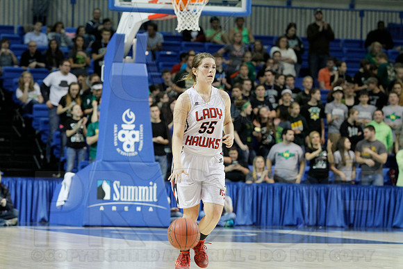 1A Girls State Finals-Nemo Vista vs. Wonderview 3-14-2014 (© Justin Manning) JWM_0217