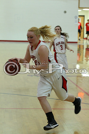 Tri-Lakes All Star Baketball Game 3-17-2015 (©Justin Manning) JWM_0256