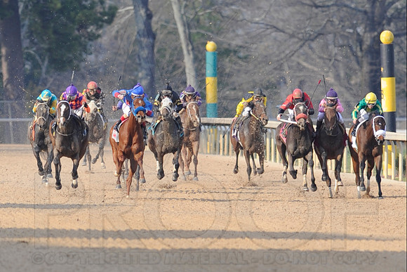 Honeybee Stakes (Grade III) 3-8-2014 (© Justin Manning) JWM_1391