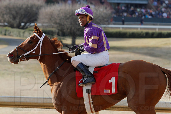 Oaklawn Park (Scenery) 1-26-14 (©Justin Manning) JWM_0232