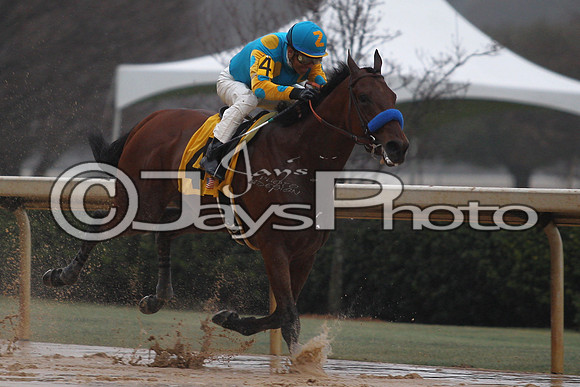 Oaklawn (Rebel Stakes Day) 3-14-2015 (©Justin Manning) JWM_354