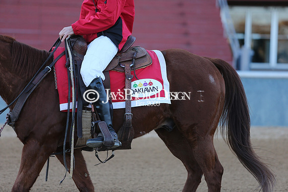 z210122_SmartyJonesStakesDay_Manning_0319