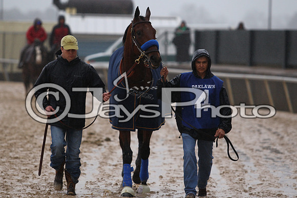 Oaklawn (Rebel Stakes Day) 3-14-2015 (©Justin Manning) JWM_133