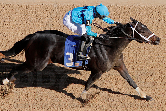 Smarty Jones Stakes 01-20-14 (©Justin Manning) JWM_0051