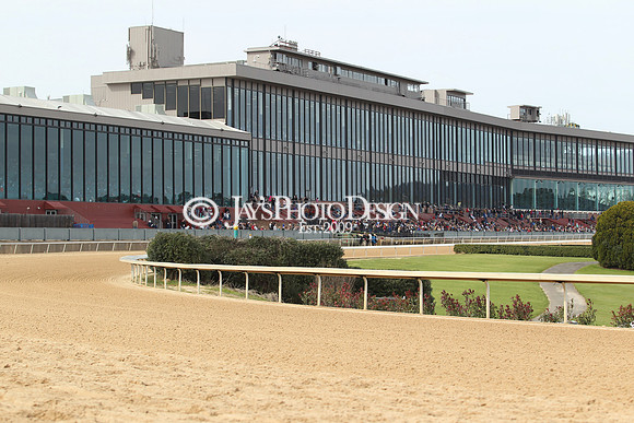 z190218_SouthwestStakesDay_Manning_007