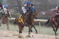 Oaklawn (Rebel Stakes Day) 3-14-2015 (©Justin Manning) JWM_014