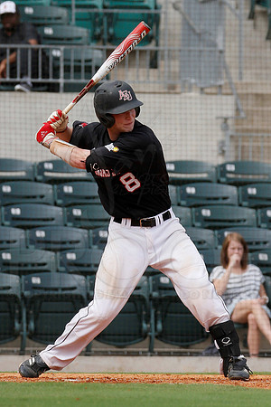 ASU vs. UAPB (Dickey Stephens Park) 5-8-12 (Justin Manning)104