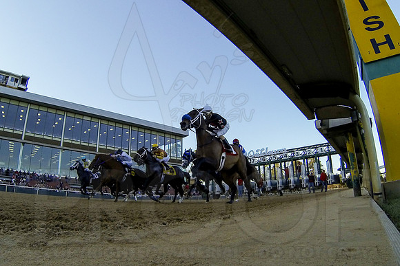 Smarty Jones Stakes 01-20-14 (©Justin Manning) JWM_0529