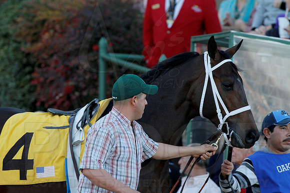 Smarty Jones Stakes 01-20-14 (©Justin Manning) JWM_0208