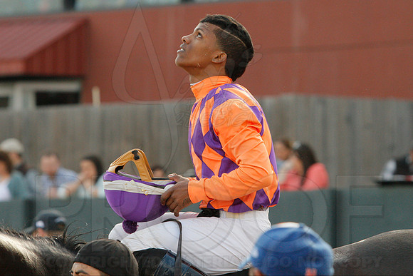 Honeybee Stakes (Grade III) 3-8-2014 (© Justin Manning) JWM_0373