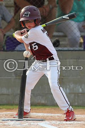 Benton vs. Hamburg 6 year old All Stars 6-29-2015 (©Justin Manning) JWM_0032