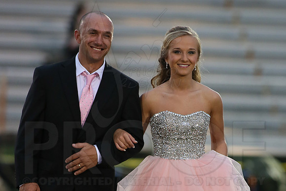 Bismarck @ Glen Roe (Homecoming) (Day Ceremony) 10-10-2014 (©Justin Manning) JWM_0146