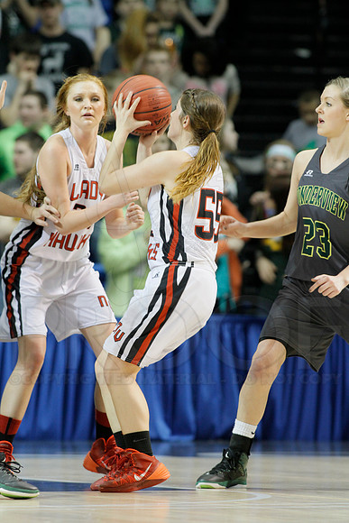 1A Girls State Finals-Nemo Vista vs. Wonderview 3-14-2014 (© Justin Manning) JWM_0187