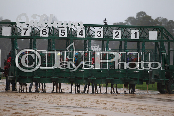 Oaklawn (Rebel Stakes Day) 3-14-2015 (©Justin Manning) JWM_306