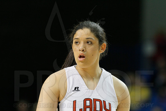 1A Girls State Finals-Nemo Vista vs. Wonderview 3-14-2014 (© Justin Manning) JWM_0090