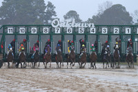 50th Running Southwest Stakes (Grade III) 2-22-2015 (©Justin Manning) JWM_117