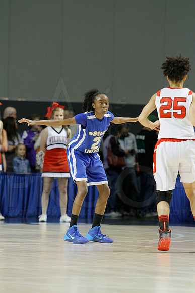 3A Girls State Finals-Harding Academy vs. eStem 3-14-2014 (© Justin Manning) JWM_0091