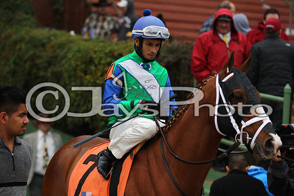 Oaklawn (Rebel Stakes Day) 3-14-2015 (©Justin Manning) JWM_213