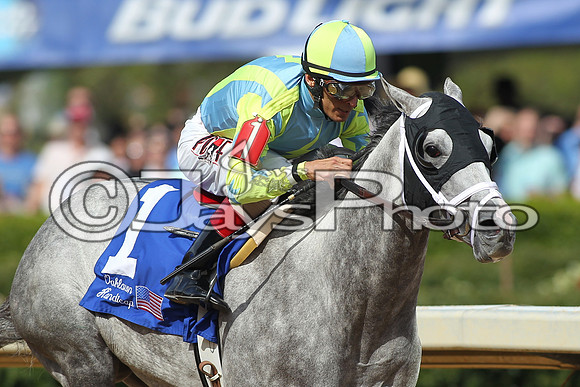 Arkansas Derby Day 4-11-2015 (©Justin Manning) JWM_0159