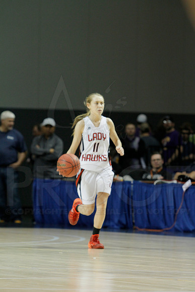 1A Girls State Finals-Nemo Vista vs. Wonderview 3-14-2014 (© Justin Manning) JWM_0069