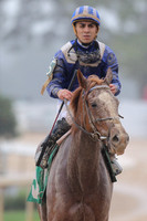 Oaklawn (Rebel Stakes Day) 3-14-2015 (©Justin Manning) JWM_072