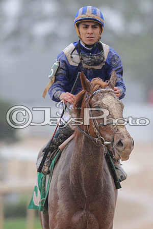 Oaklawn (Rebel Stakes Day) 3-14-2015 (©Justin Manning) JWM_072