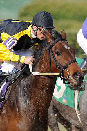 Honeybee Stakes (Grade III) 3-8-2014 (© Justin Manning) JWM_1373